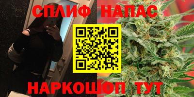 ГАЛЛЮЦИНОГЕННЫЕ ГРИБЫ Кингисепп