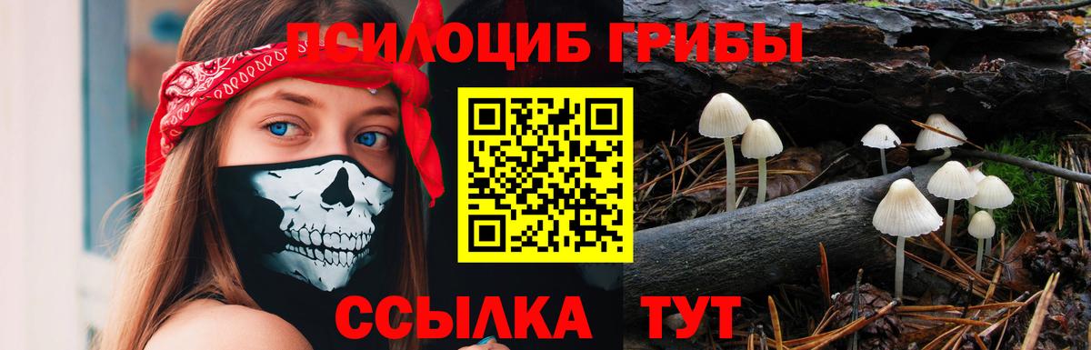 Псилоцибиновые грибы GOLDEN TEACHER  Вход с VPN  Кропоткин 