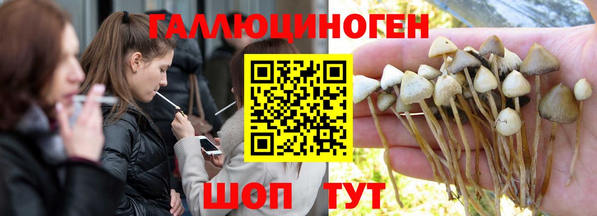 Галлюциногенные грибы ЛСД Кропоткин